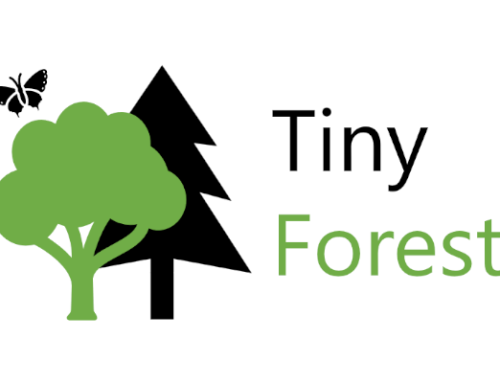 1st “Tiny Forest” in Zurich, organised by engageability & GIB Foundation