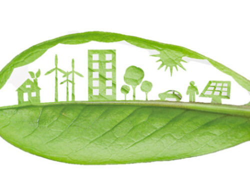 8 Dec 22 | Swissmem Webinar: Sustainability Reporting