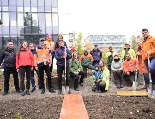 engageability and partners plant the first Tiny Forest on a Swiss industrial site on Nov 10, 2023